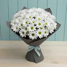 Букет цветов из:  Хризантемы в Каргалинской