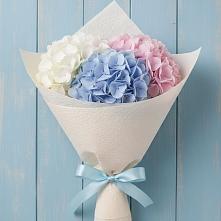 Букет цветов из:  Гортензия в Каргалинской