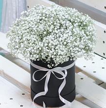 Цветочная композиция из Гипсофила в шляпной коробке #REPLACE_PRED# Каргалинской