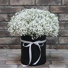 Цветочная композиция из Гипсофила в шляпной коробке в Каргалинской