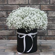 Цветочная композиция из Гипсофила в шляпной коробке в Каргалинской