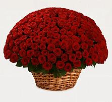 Премиум букет из: Розы #REPLACE_PRED# Каргалинской