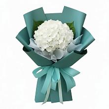 Букет цветов из:  Гортензия в Каргалинской